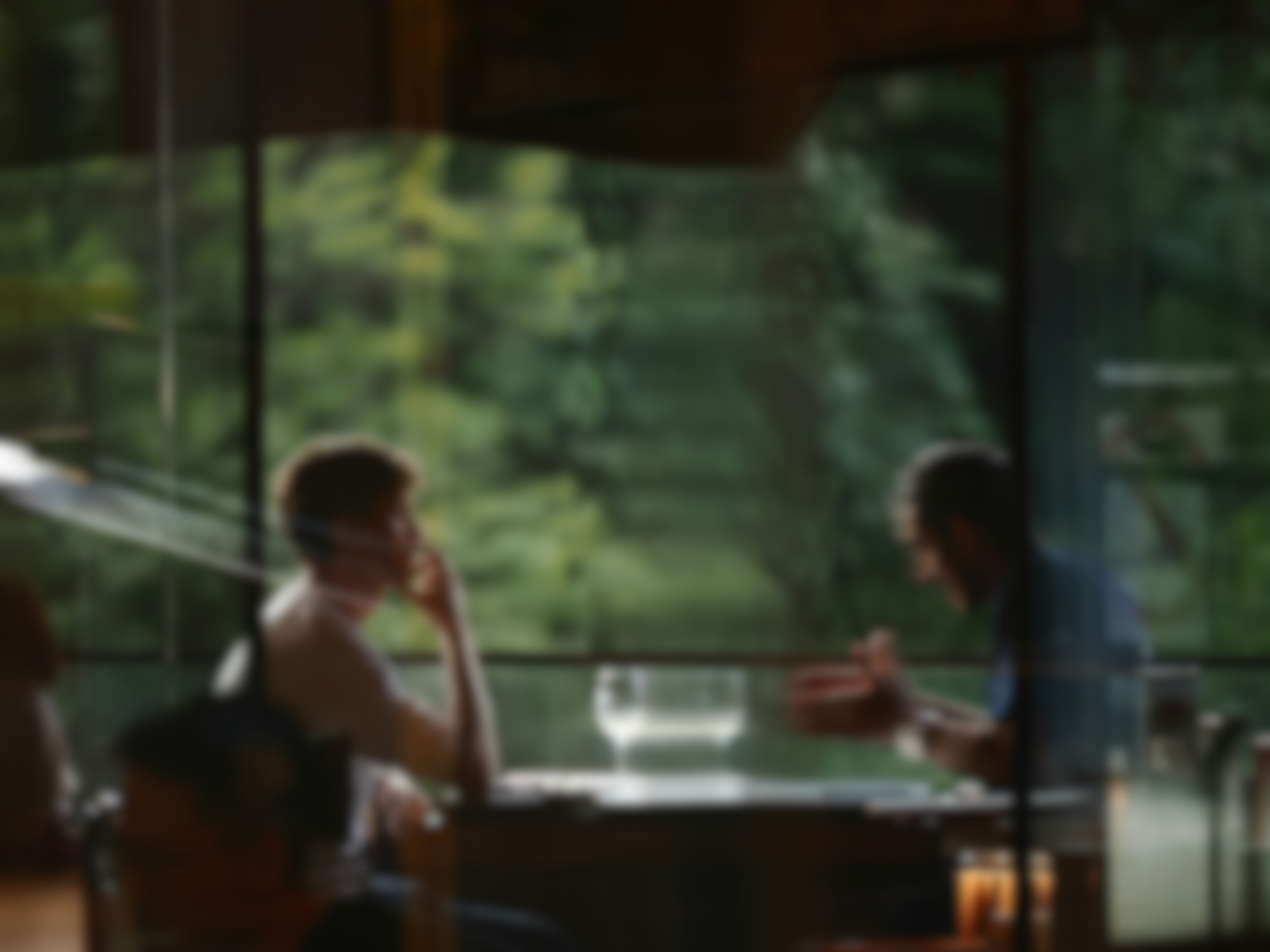 Konzultacija u restoranu